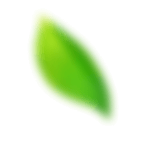 shape