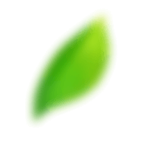 shape